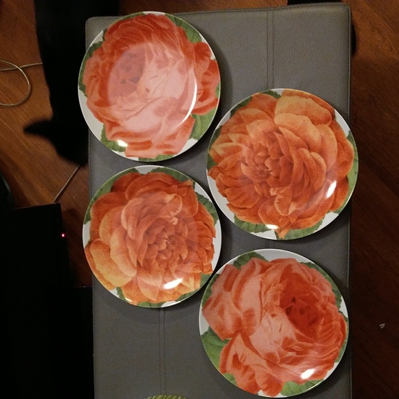 Rosanna Kitchen Rosanna Plates In Matching Box 4 Plates In Boxes Poshmark